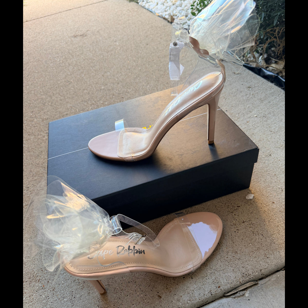 Nude and Clear Stiletto Heel